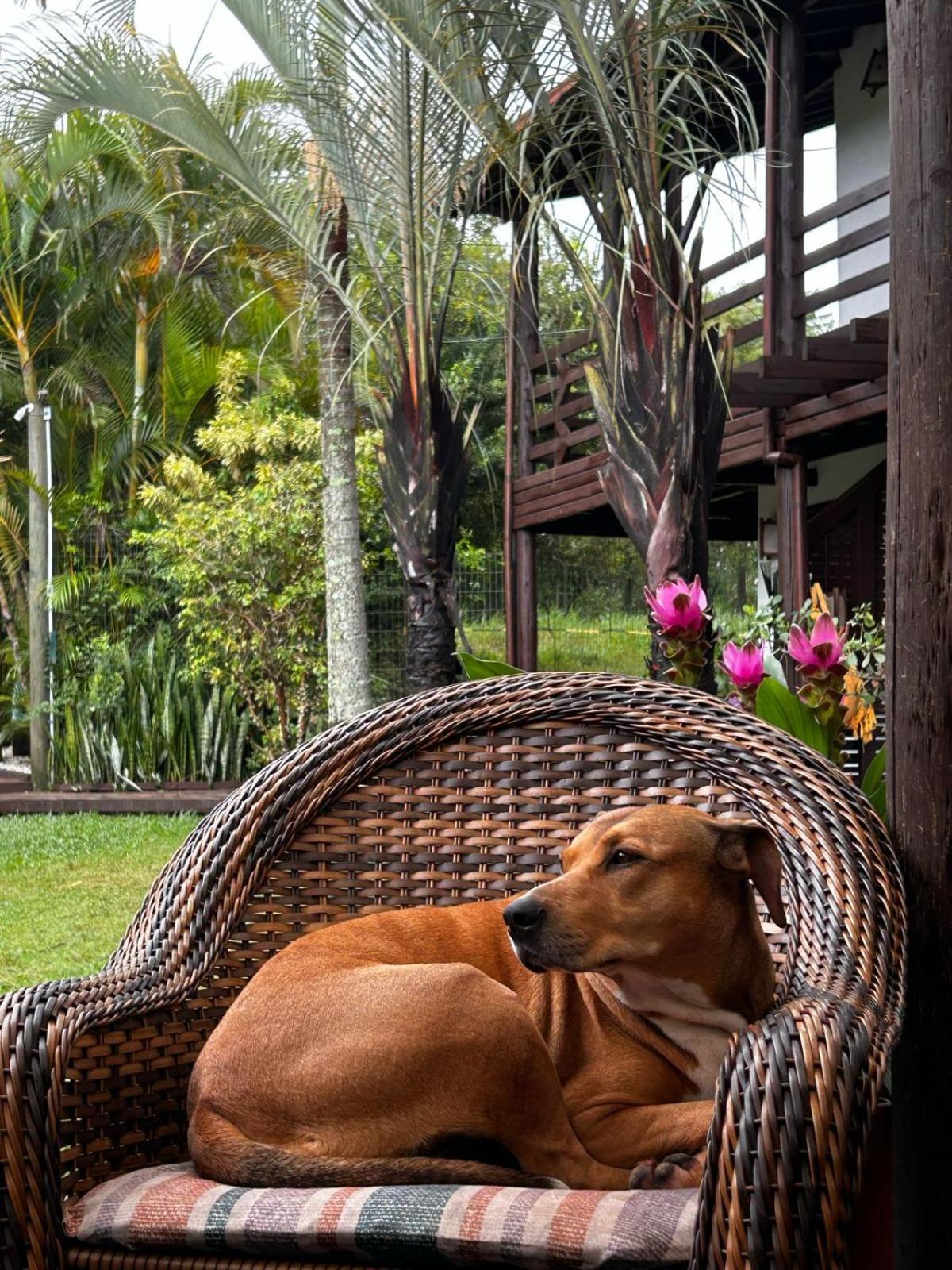 Lodge Malakoopa - Do Rosa
